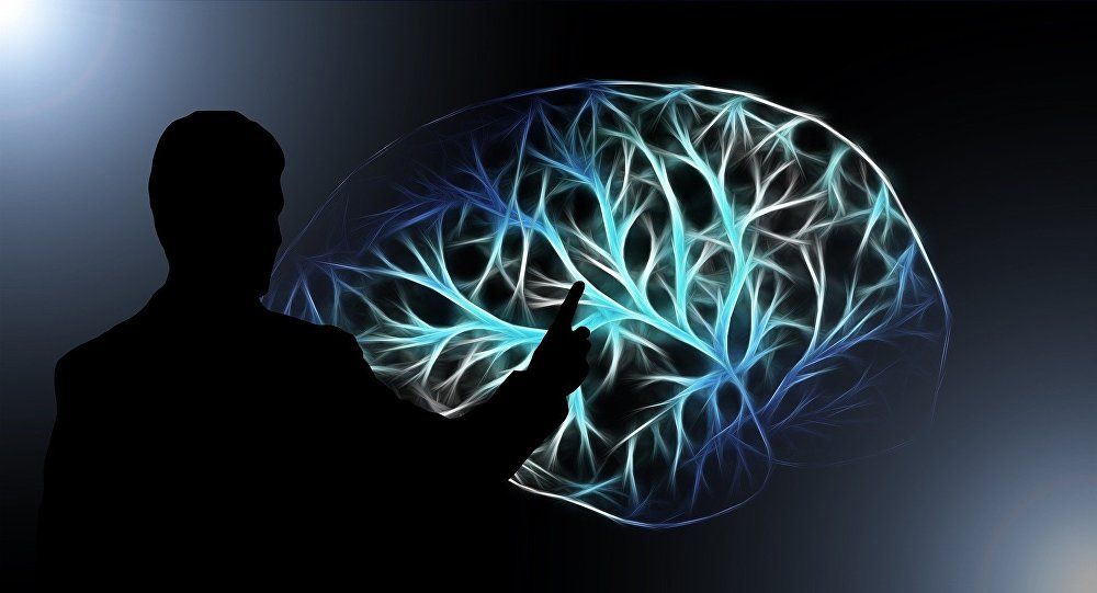 學者在人體內找到「第二腦袋」