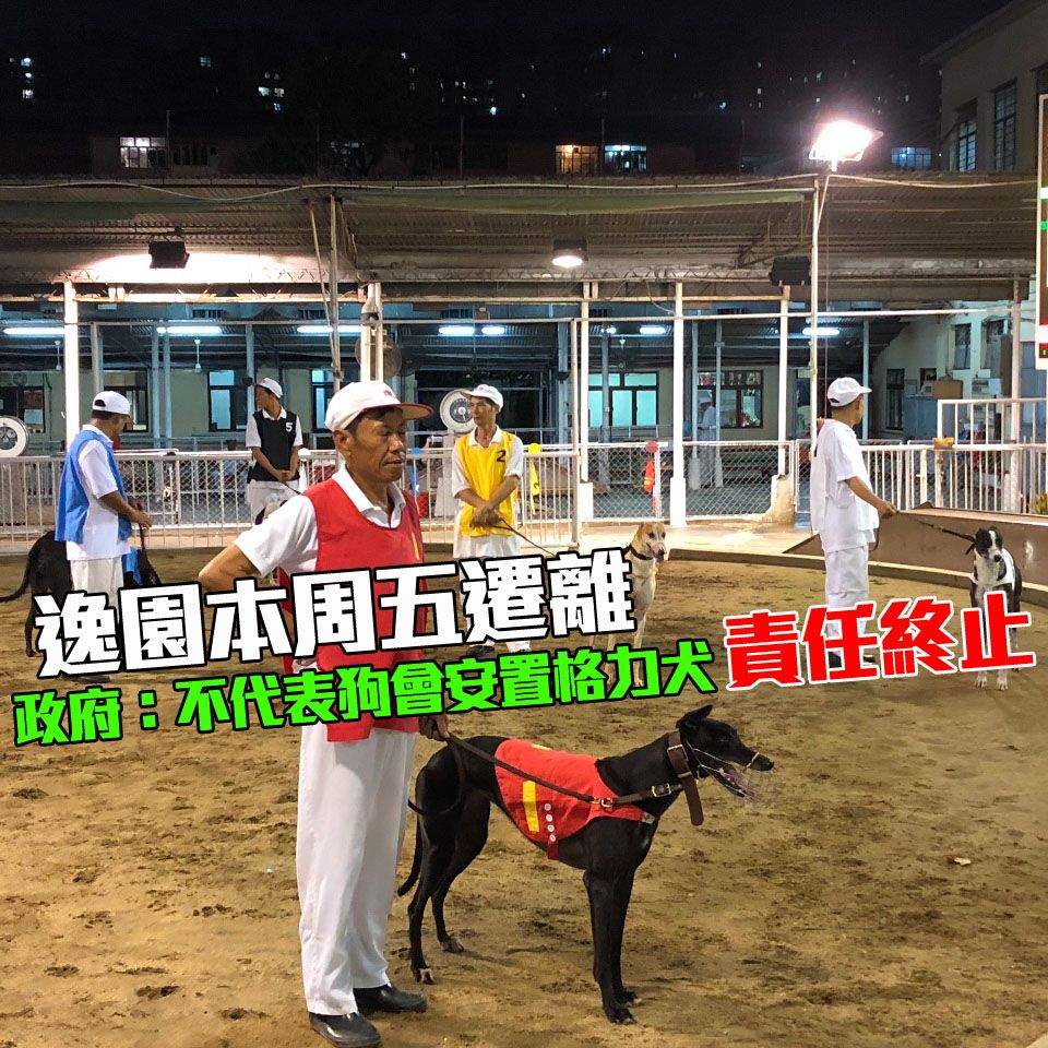 政府：不代表狗會安置格力犬責任終止