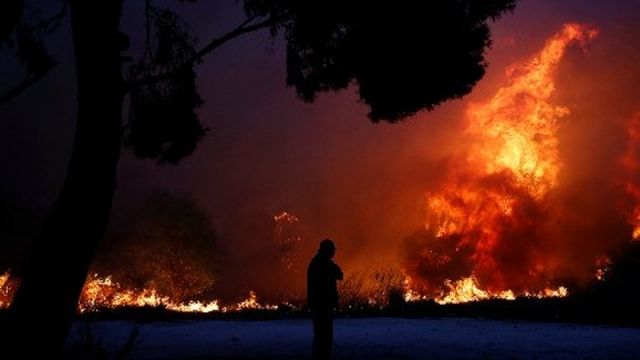 希臘雅典山火釀20死過100傷