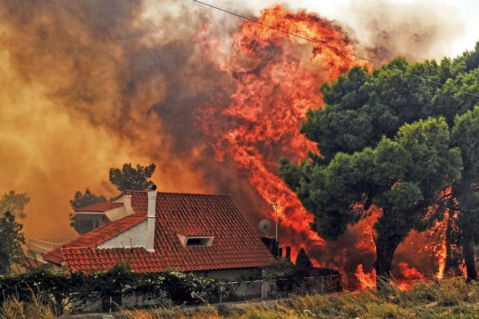 希臘森林大火50死
