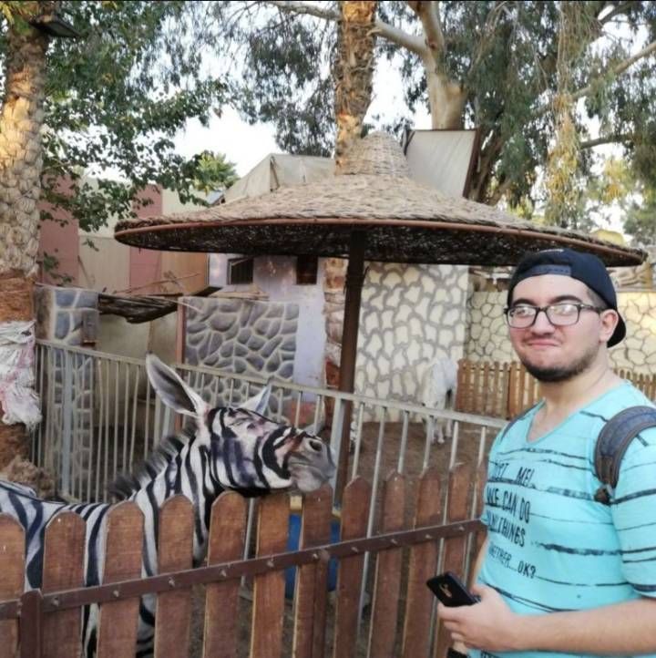 埃及動物園畫驢扮斑馬被識穿