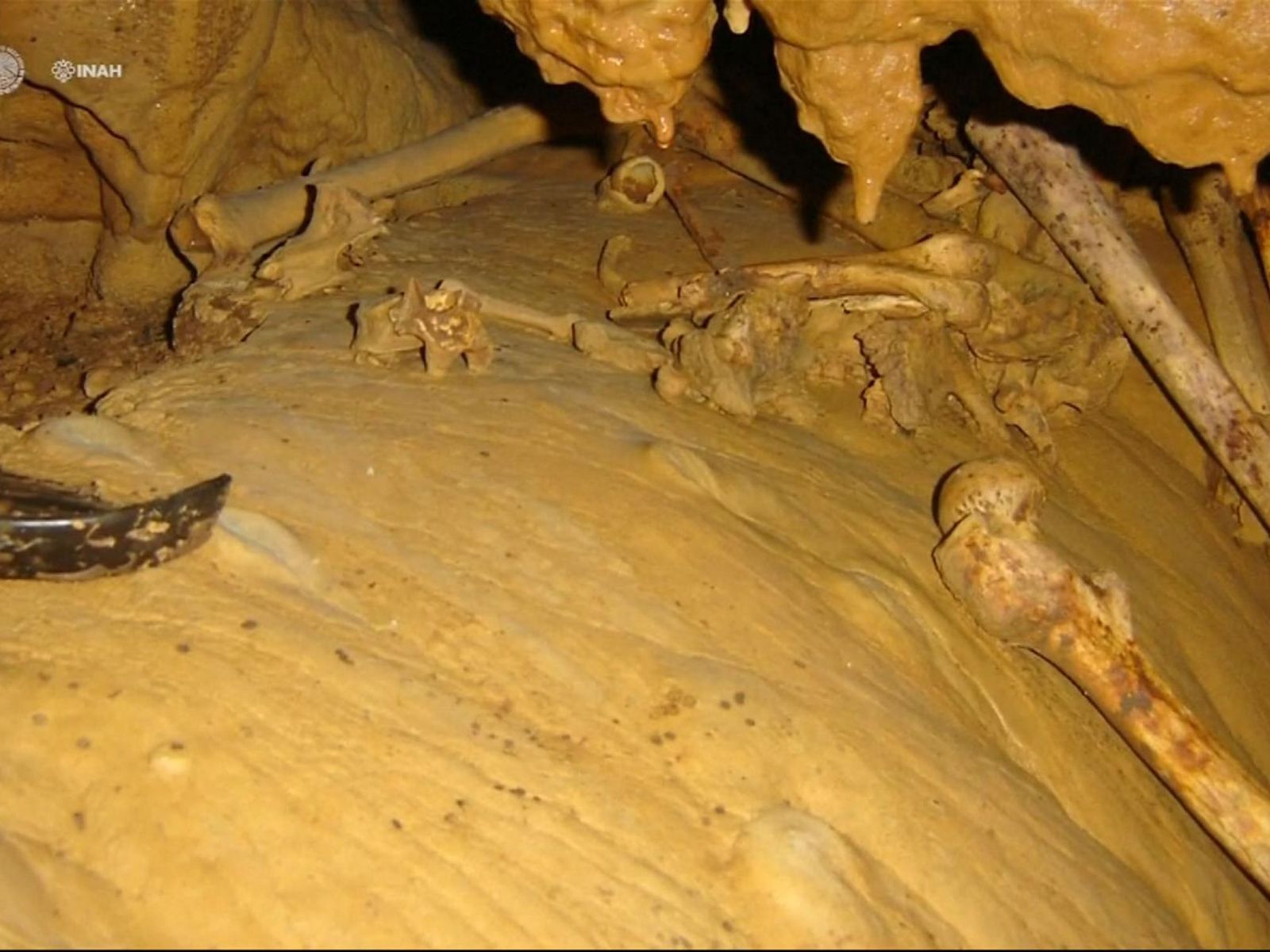 墨國洞穴出土瑪雅人祖先遺骸