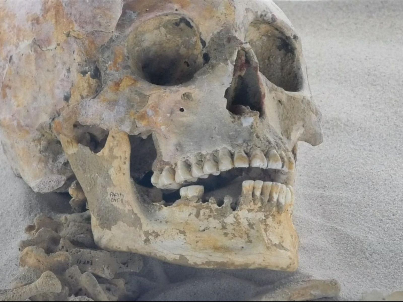 墨國洞穴出土瑪雅人祖先遺骸