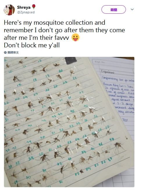 殺逾80隻蚊「集屍成冊」