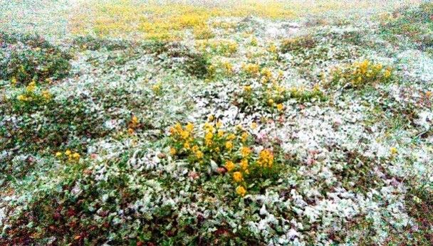 北海道創44年最早初雪紀錄