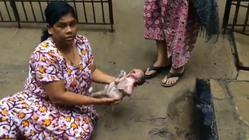 印度婦渠中救初生棄嬰