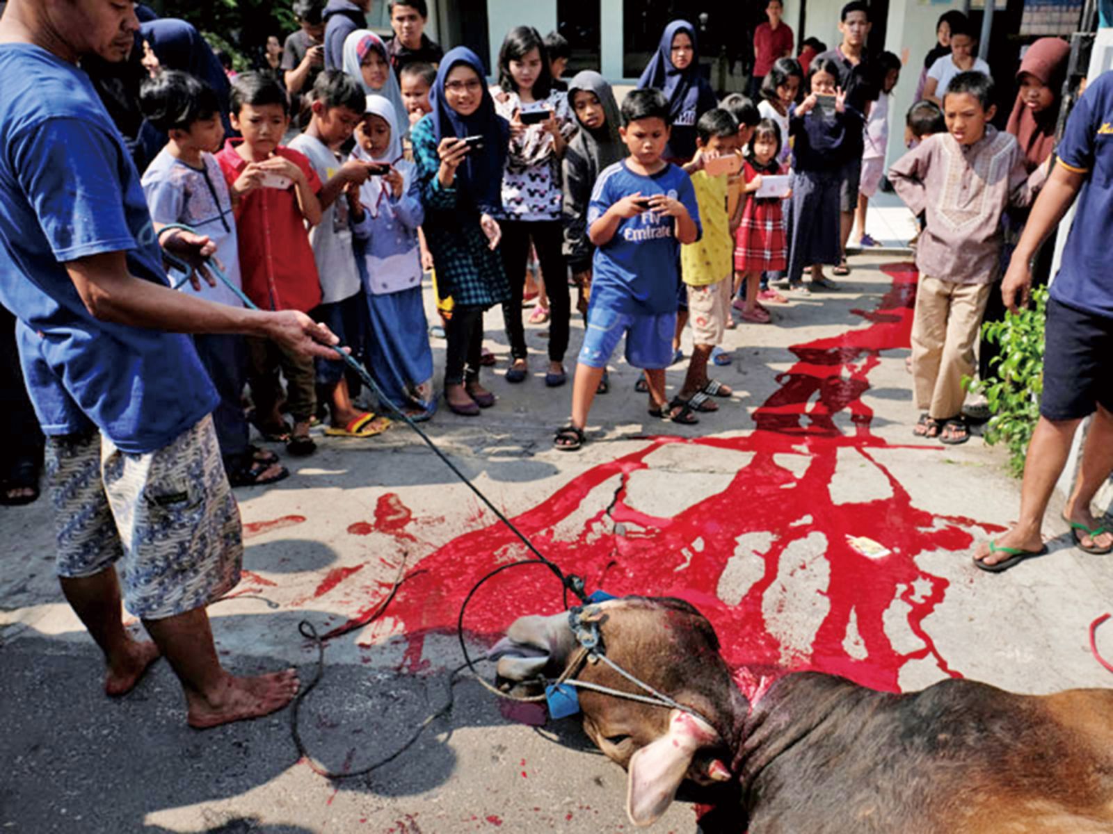亞運 採訪手記——看到印尼街頭的血腥