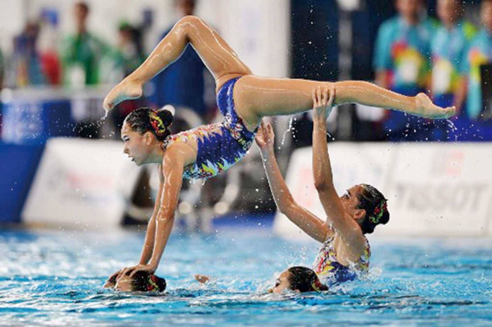 澳門藝術游泳代表得第八