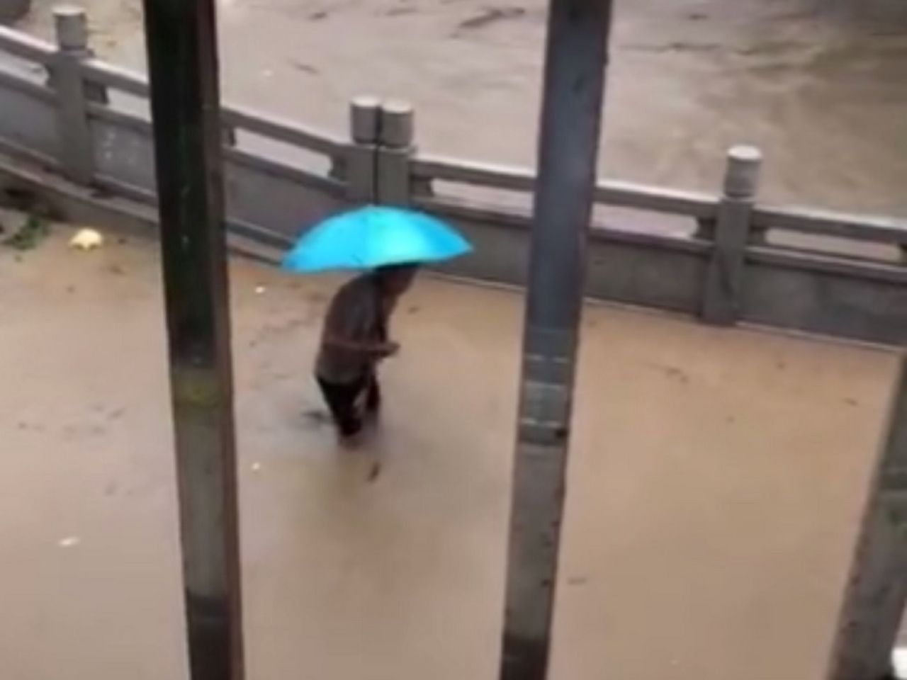 深圳一度發布紅雨預警