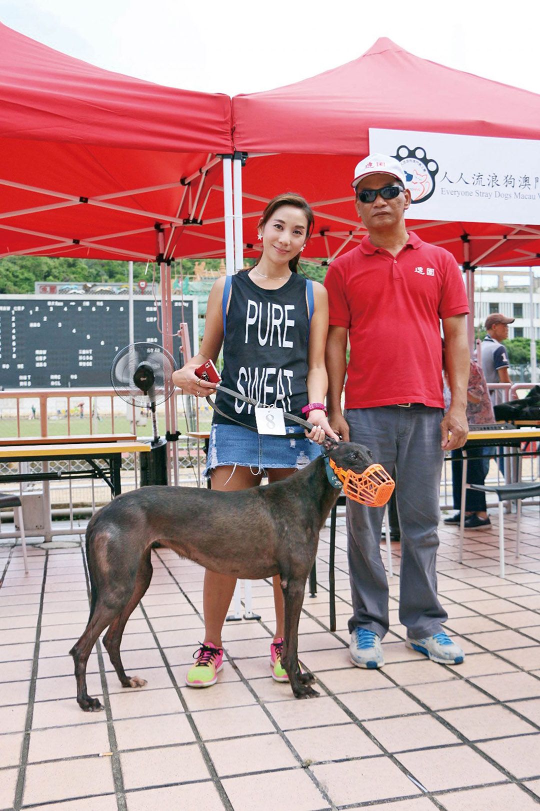 26格力犬下月移居香港