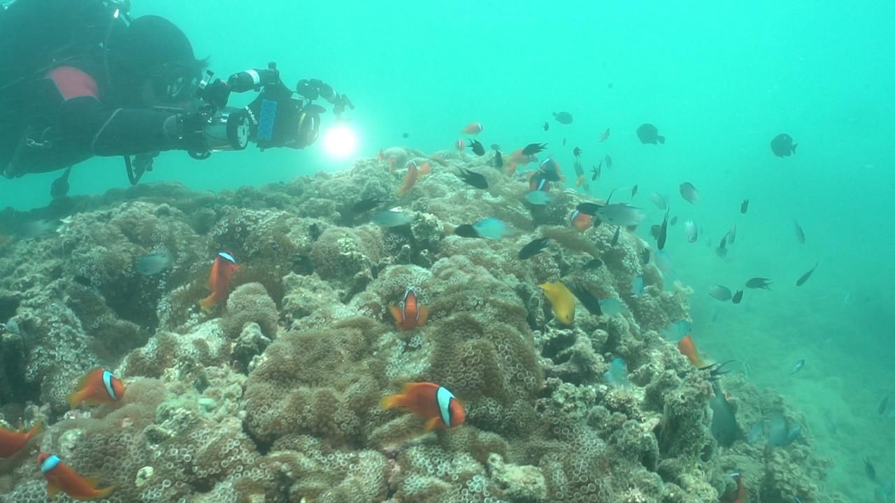 恐破壞瀕危生物棲息地