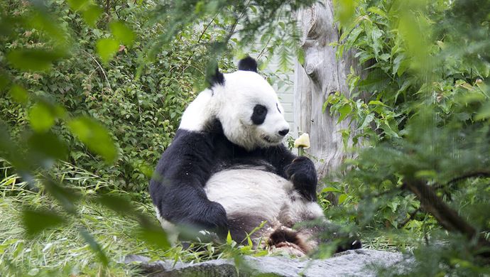 英動物園禁職員穿鮮色衫