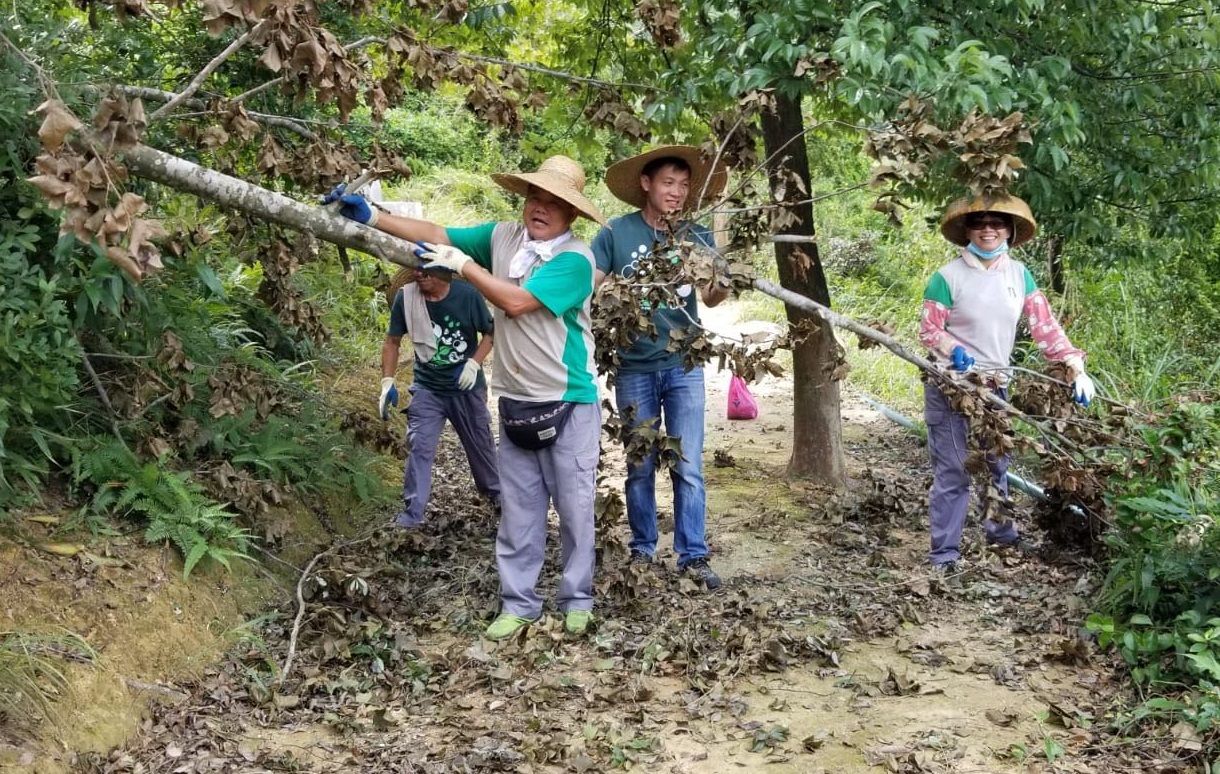 離島12條行山徑暫停開放