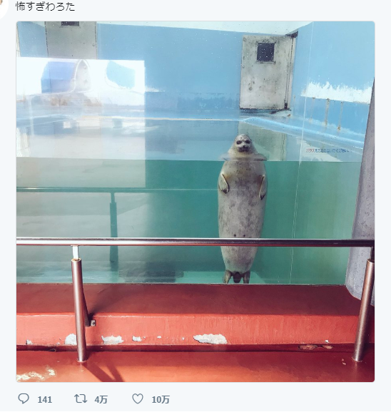 日本水族館海豹哀怨眼神令人心寒