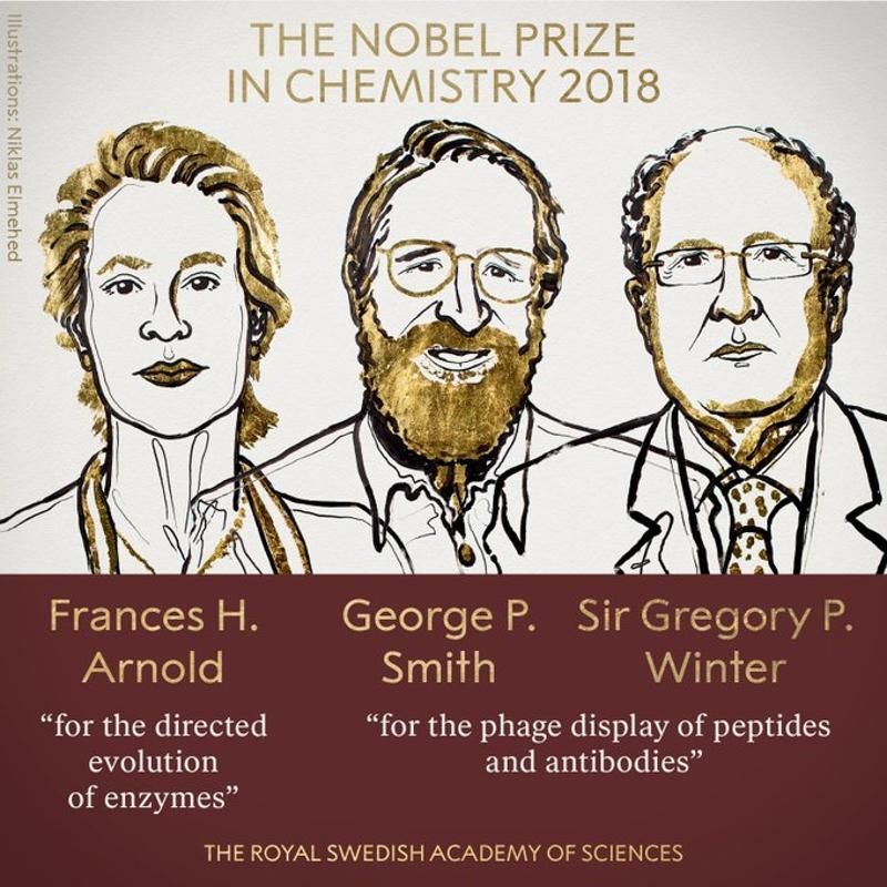 美英三學者共享諾貝爾化學獎