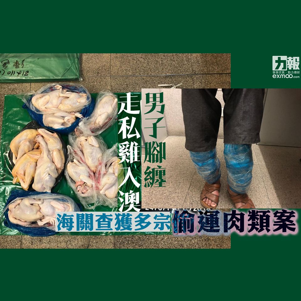 海關查獲多宗偷運肉類案