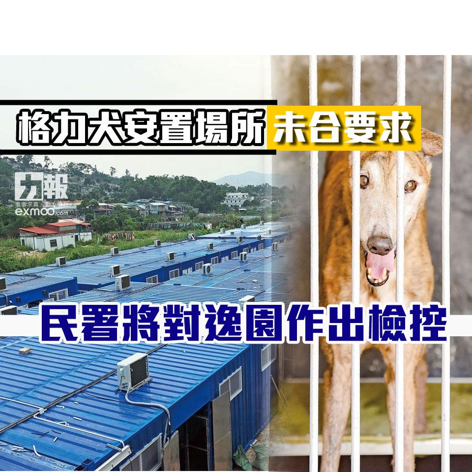 民署將對逸園作出檢控