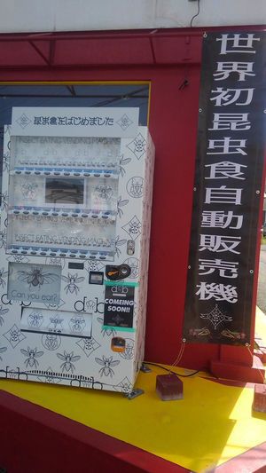 【奇趣日本】熊本縣現食用昆蟲自動販賣機