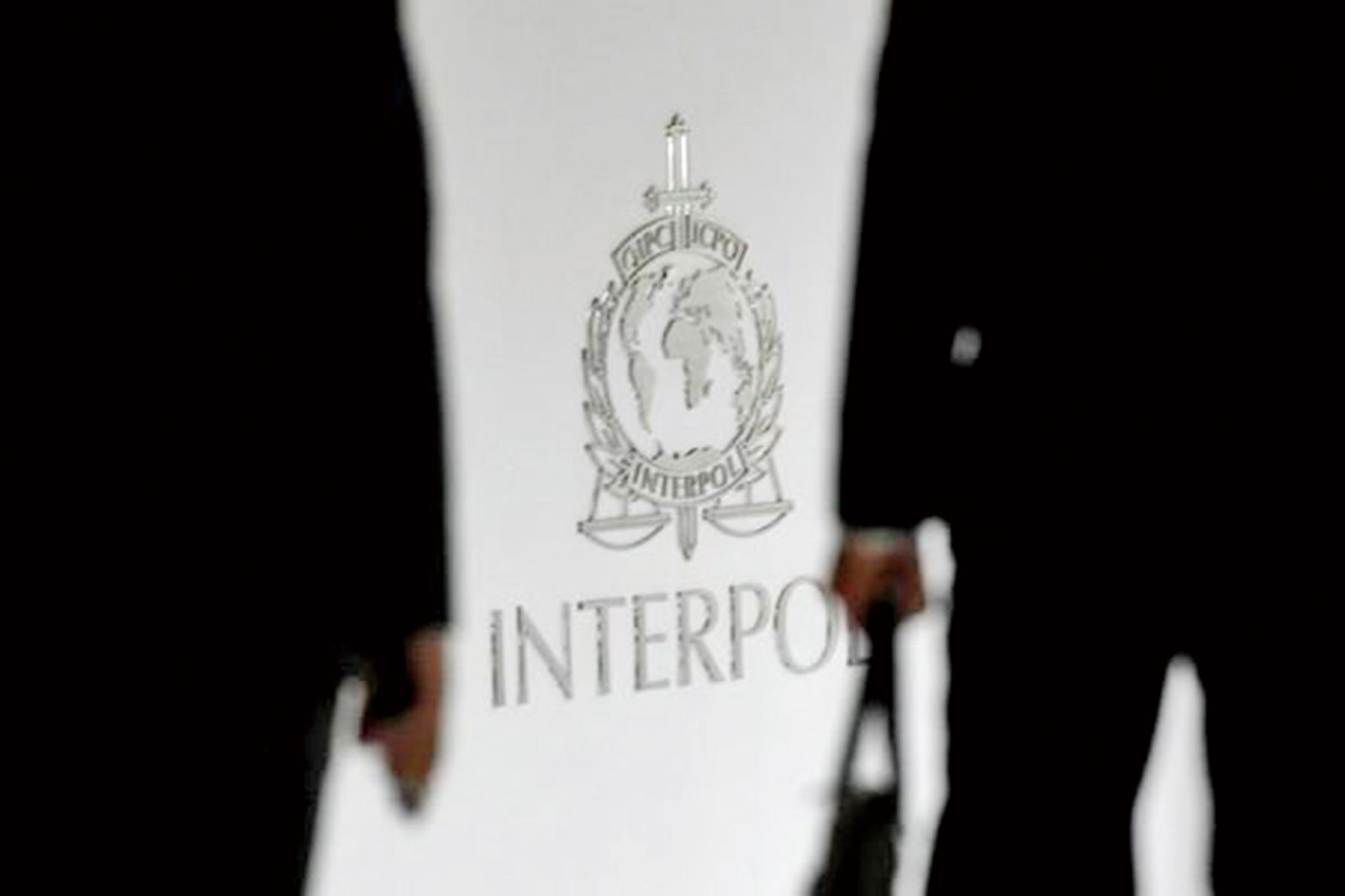 Interpol：大陸是唯一代表