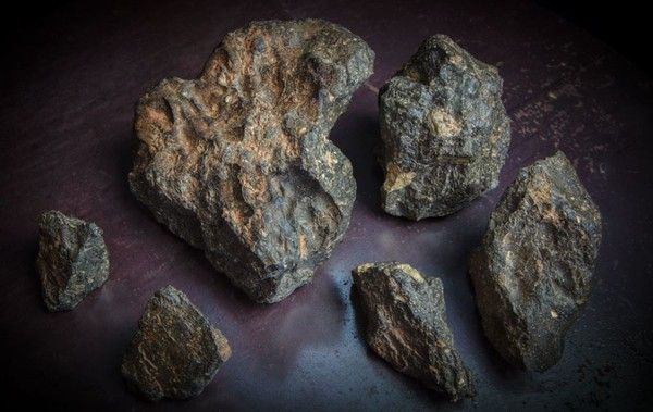最大月球隕石拍賣 逾490萬成交