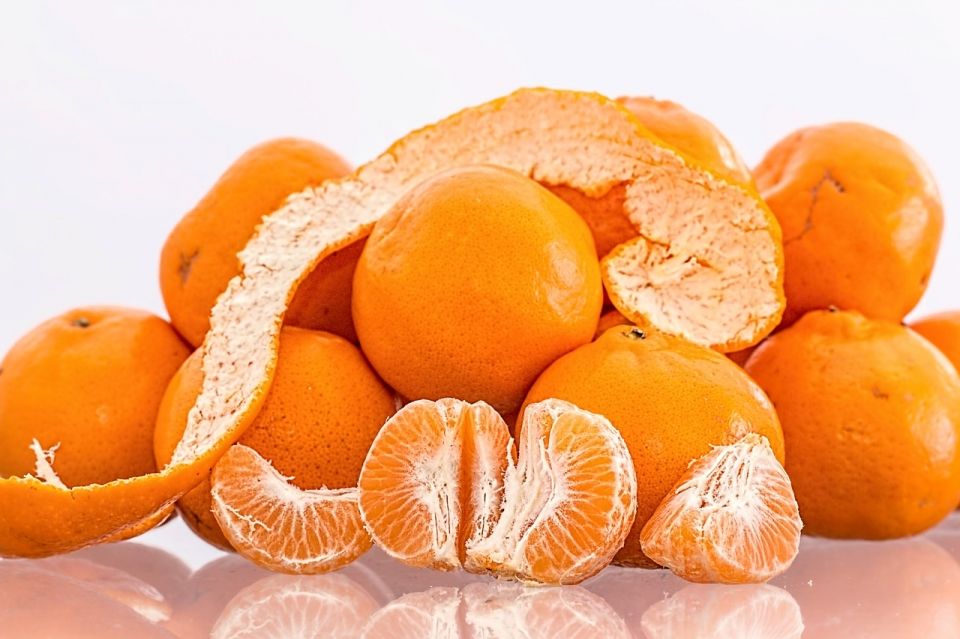 韓國回贈朝鮮200噸柑橘