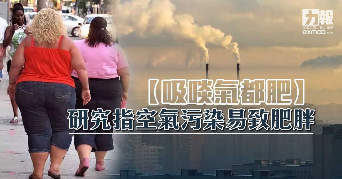 研究指空氣污染易致肥胖