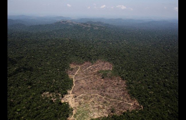 洩8,000桶原油污染亞馬遜雨林
