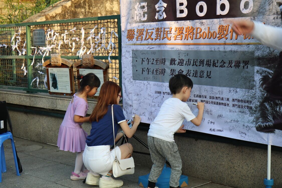 多個動保團體收集簽名反對「BoBo」作標本