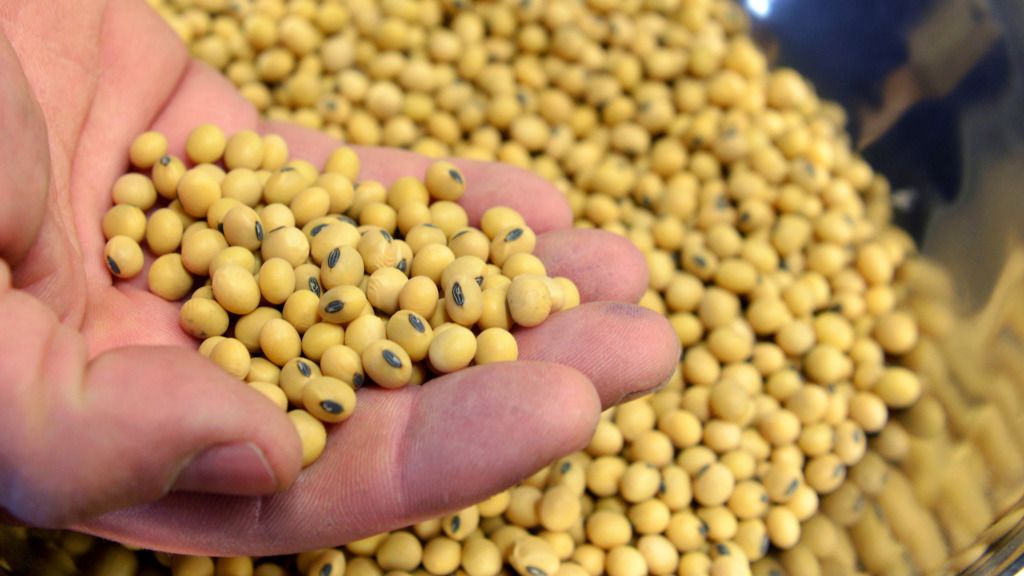 特朗普指中國已恢復購買美國大豆