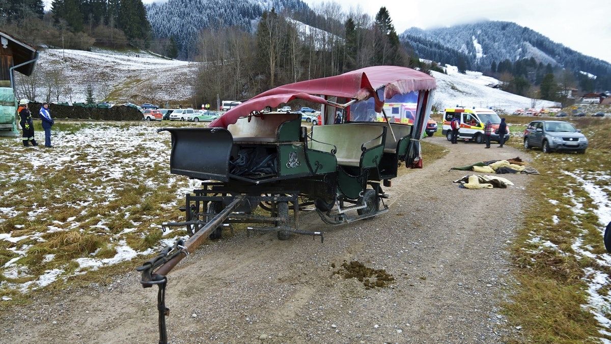 德國兩架馬車相撞 20人受傷2人重傷