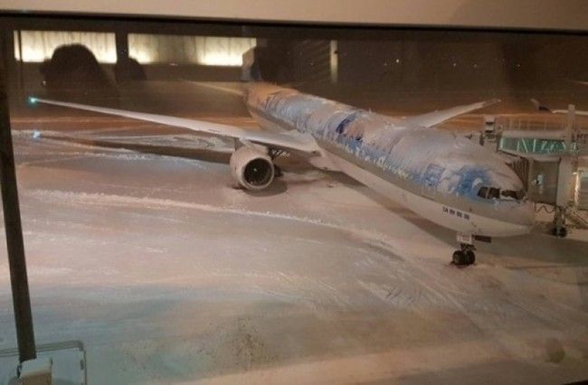 北海道函館機場取消24航班