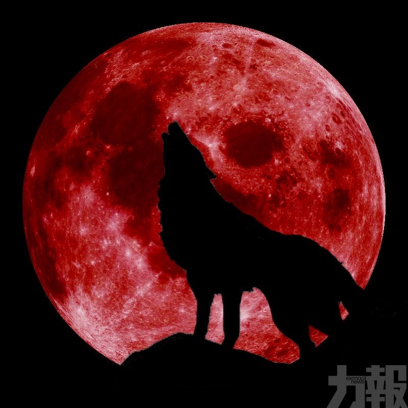 「超級血狼月」美東時間周日登場