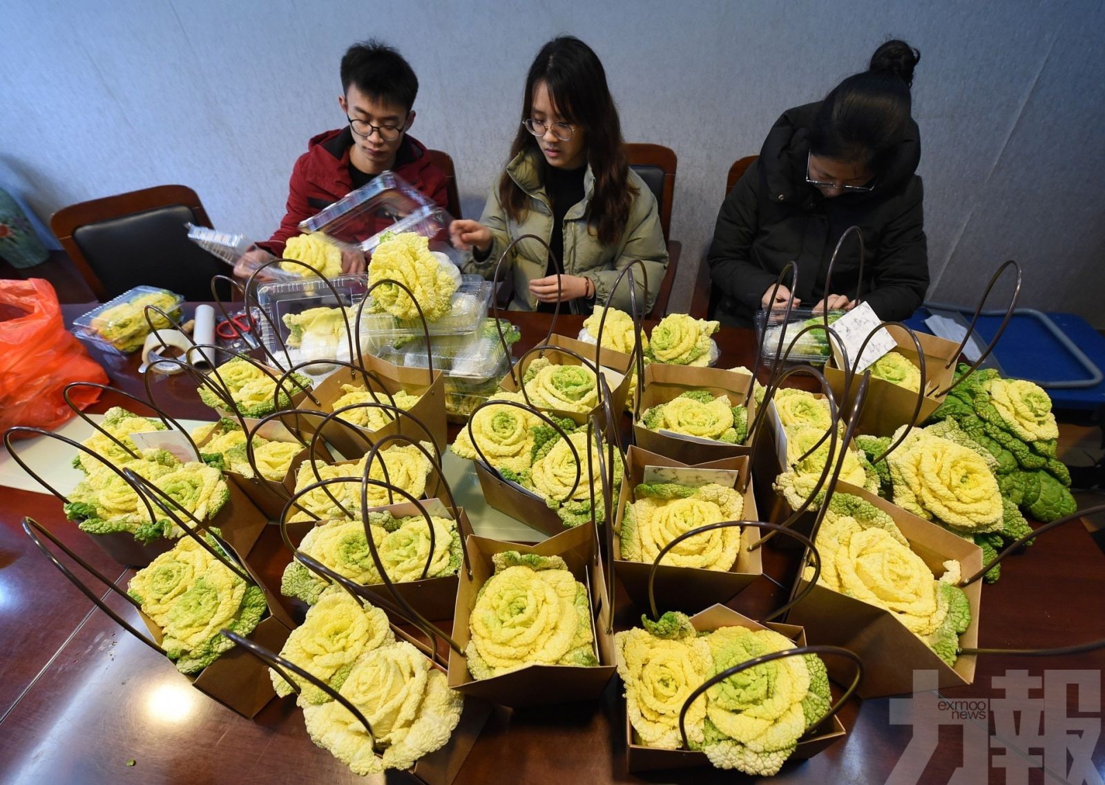 南京學院研發「玫瑰白菜」爆紅