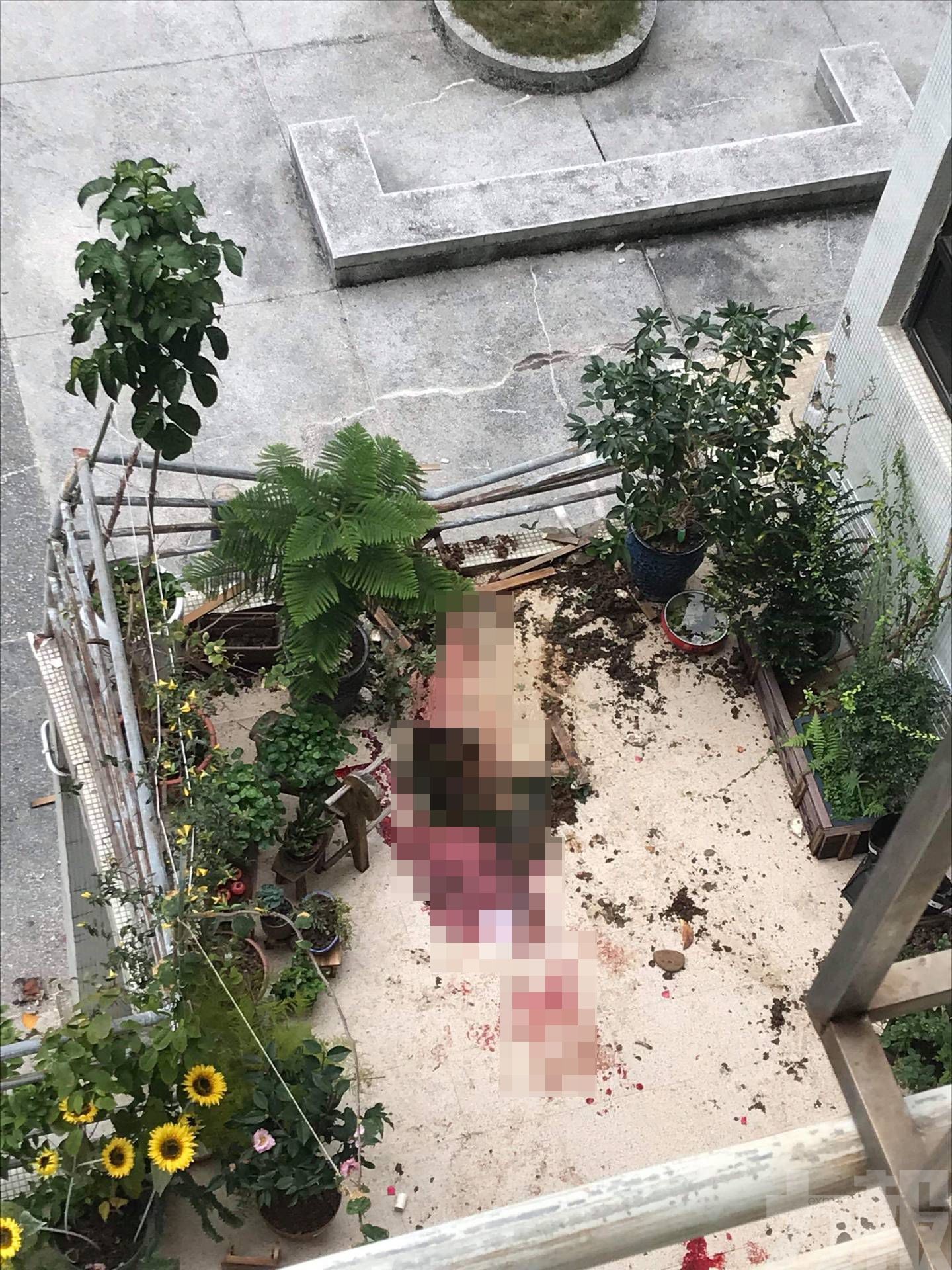 今早墮樓事件女住戶傷重死亡