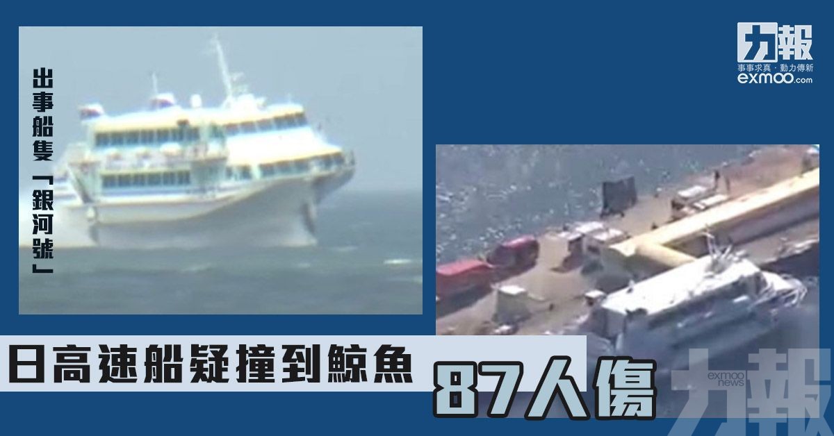 日高速船疑撞到鯨魚87人傷