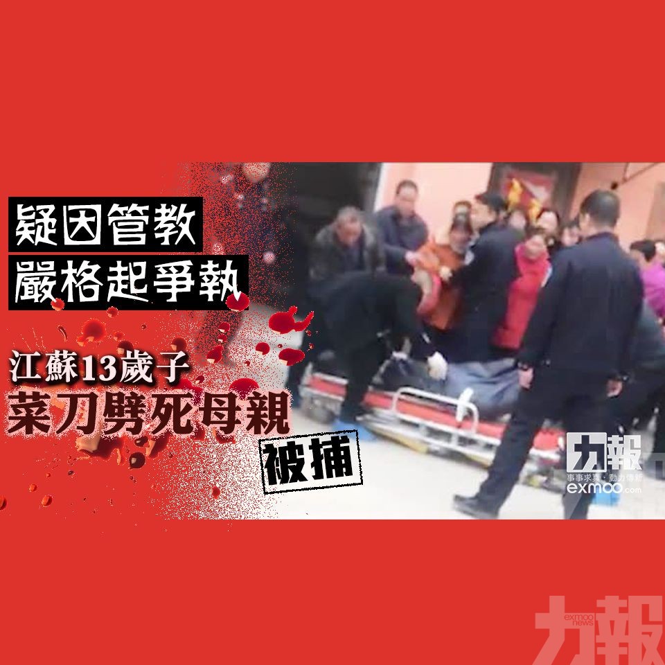 江蘇13歲子菜刀劈死母親被捕