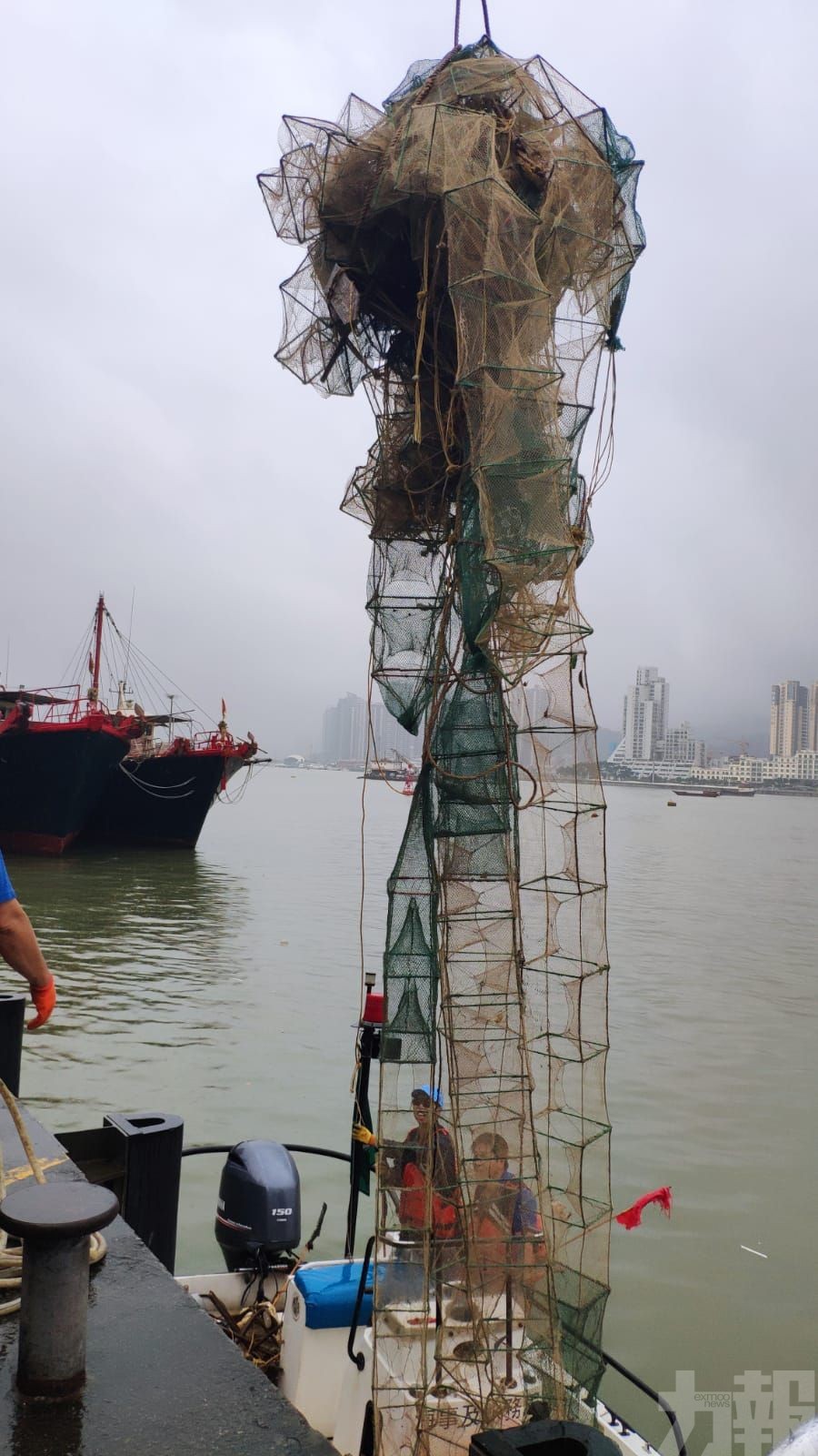 清理約500米長蟹籠