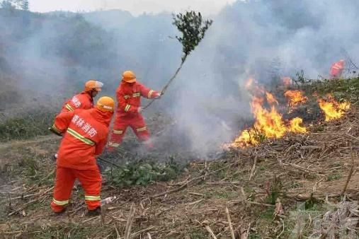 四川山火遇難人數增至30人