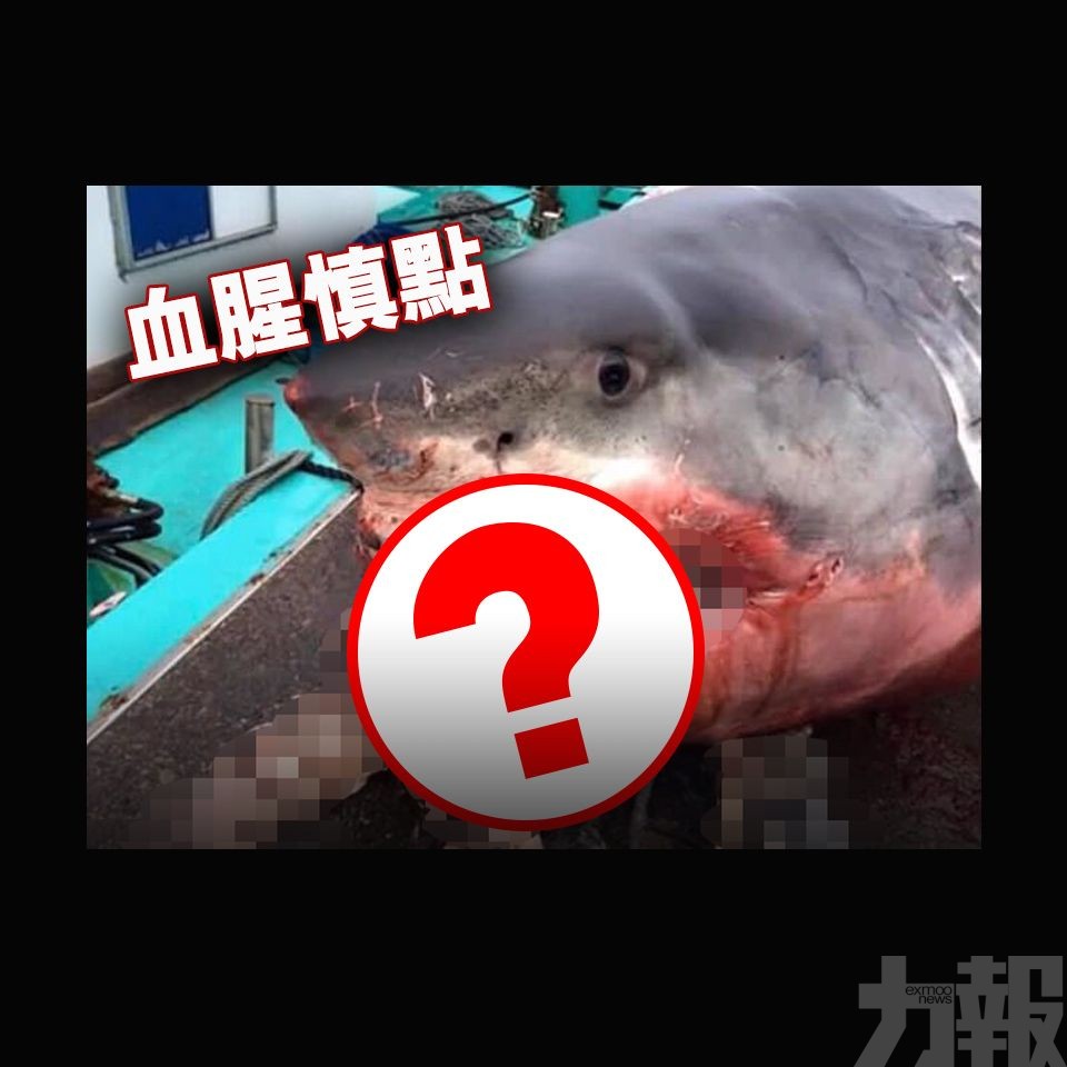 日本漁民拍下血腥照