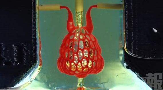 3D打印複製人類器官精細血管系統