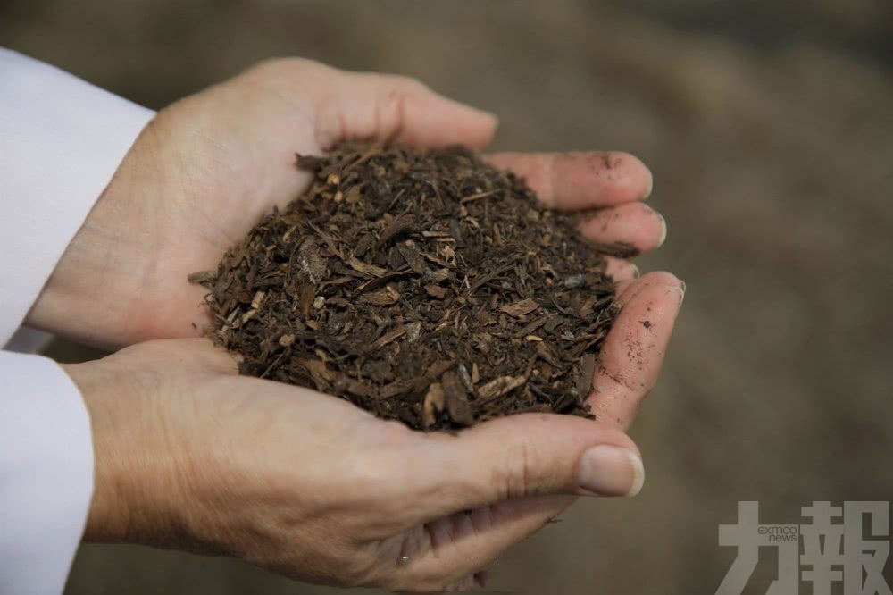 華盛頓州准許人類遺體轉成肥料
