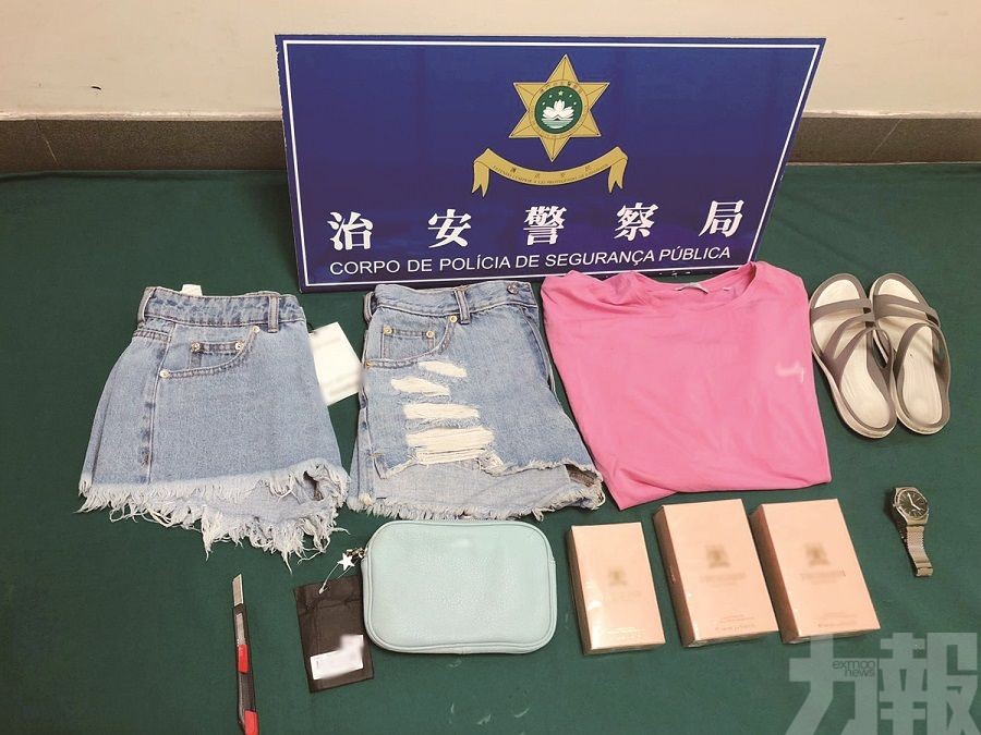 蒙古女子涉多宗盜竊案兼私藏禁用武器被捕