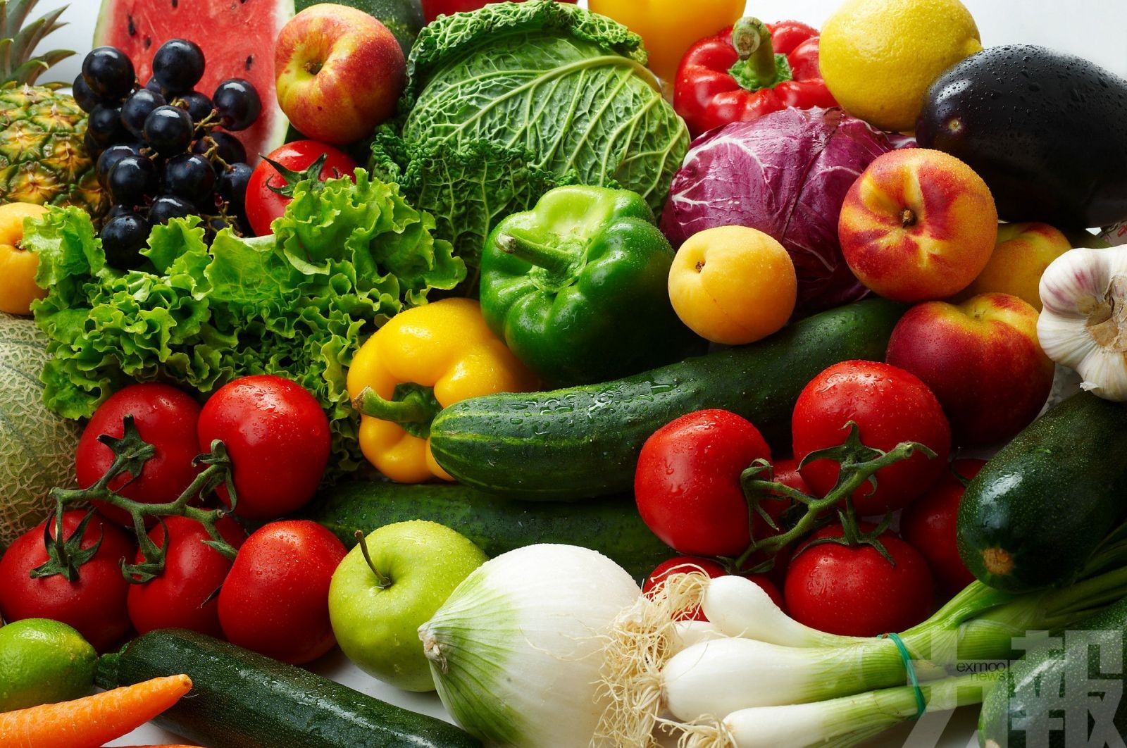蔬菜價格高於去年 惟漲幅有限