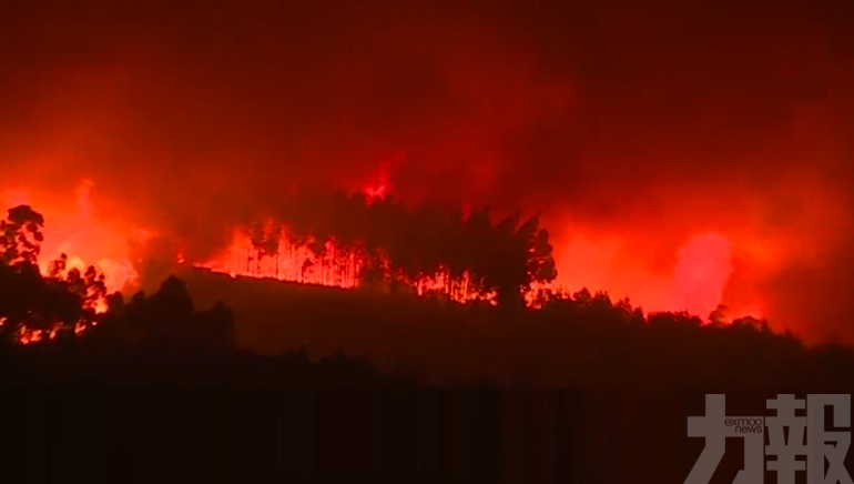 葡萄牙中部3處山火至少9傷　