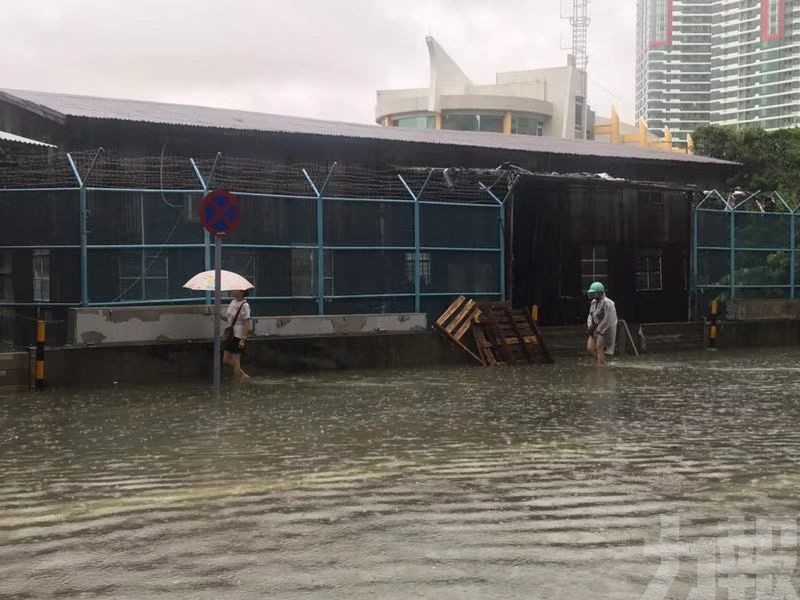 氣象局預料明早內港仍水浸