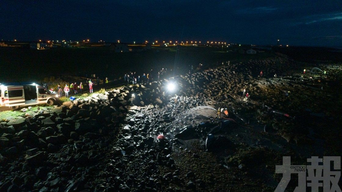 冰島海灘再現鯨魚群擱淺