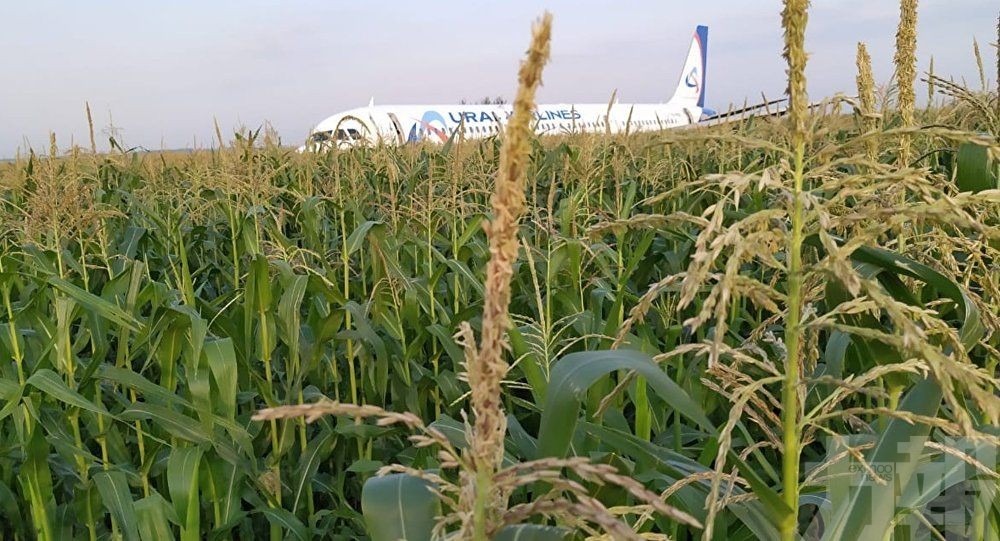 俄客機遇鳥擊迫降粟米田23傷