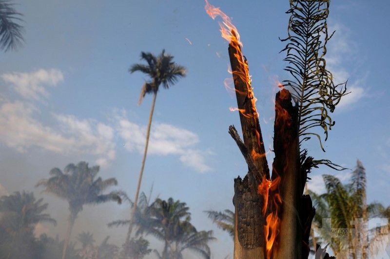【破紀錄】亞馬遜森林今年大火逾7萬宗