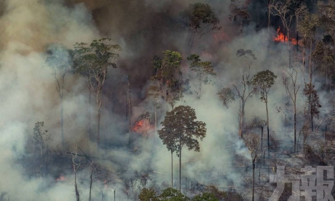 【破紀錄】亞馬遜森林今年大火逾7萬宗