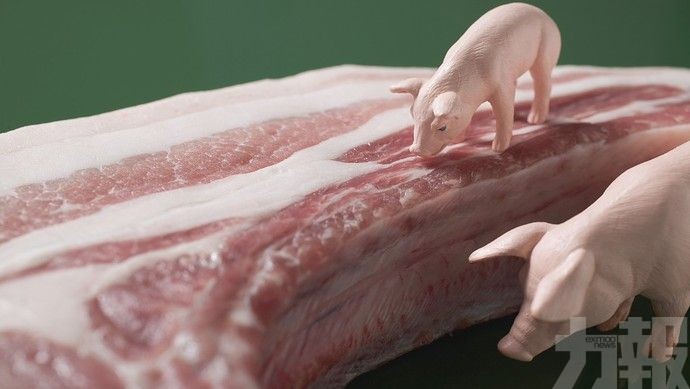 攜韓國豬肉製品入境 最高罰台幣100萬